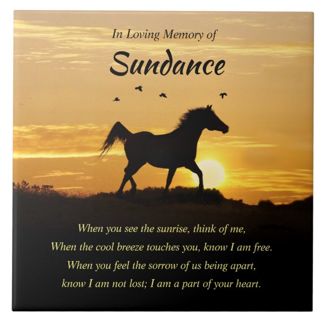 De Cerâmica Azulejo cerâmico (Frente)