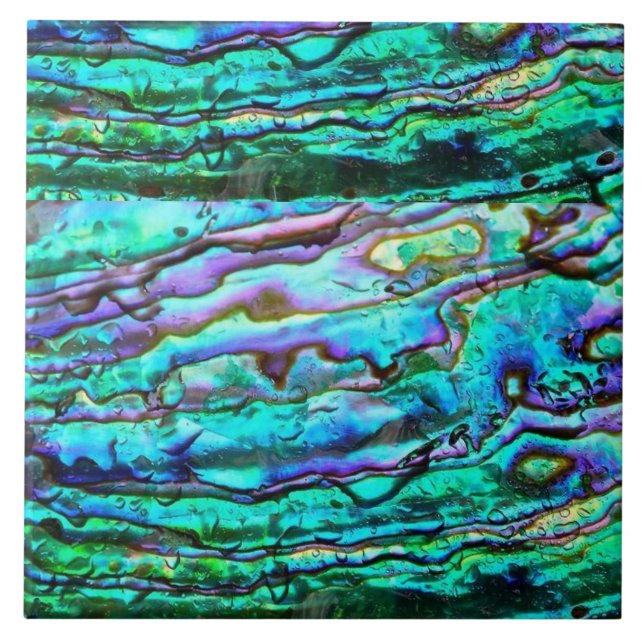 De Cerâmica Azulejo cerâmico Abalone (Frente)