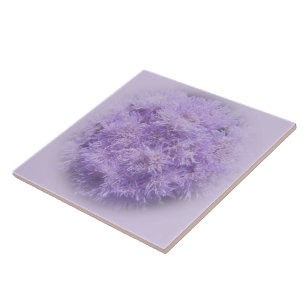 De Cerâmica Azulejo cerâmico - Ageratum