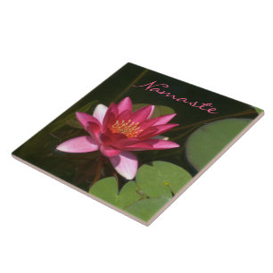 DE CERÂMICA AZULEJO CERÂMICO/ÁGUA REVESTIDA ROSA ESCURA