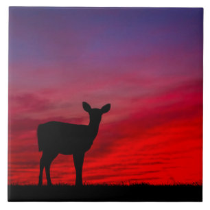 De Cerâmica Azulejo cerâmico Baby Deer