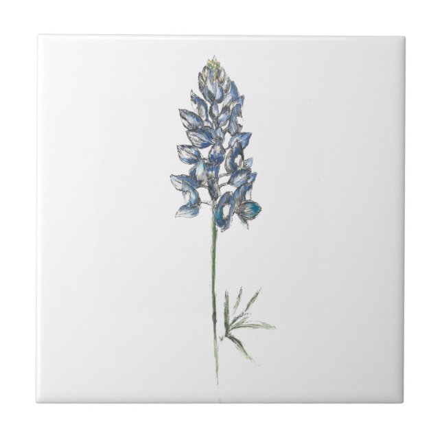 De Cerâmica Azulejo cerâmico Bluebonnet (Frente)