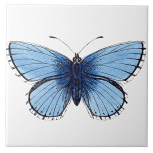 De Cerâmica Azulejo cerâmico - Borboleta azul