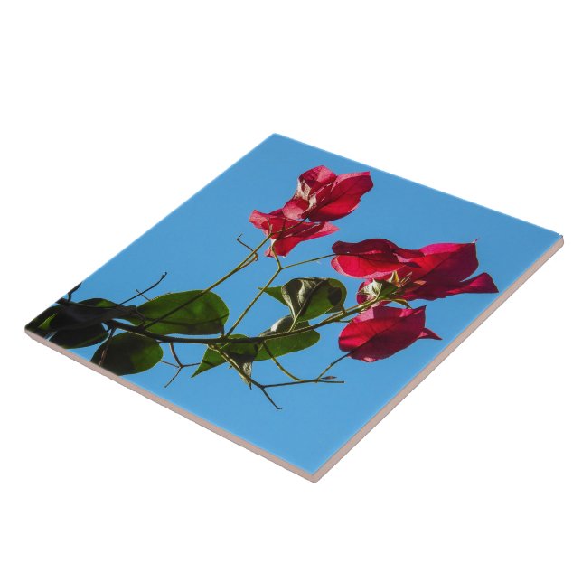 De Cerâmica Azulejo cerâmico Bougainvillea (Lateral)