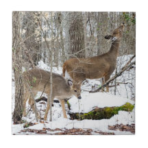 Azulejo cerâmico Branco-Atado da foto dos cervos