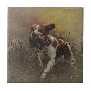 De Cerâmica Azulejo cerâmico Brittany spaniel