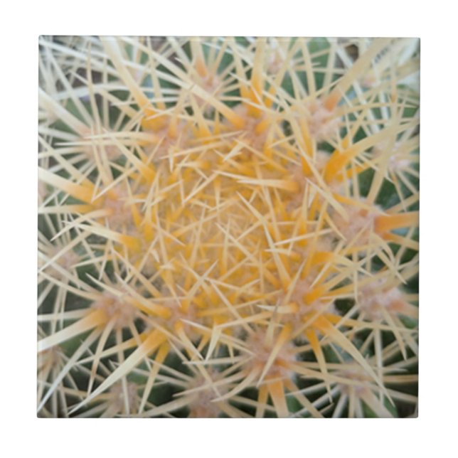 De Cerâmica Azulejo cerâmico Cactus (Frente)