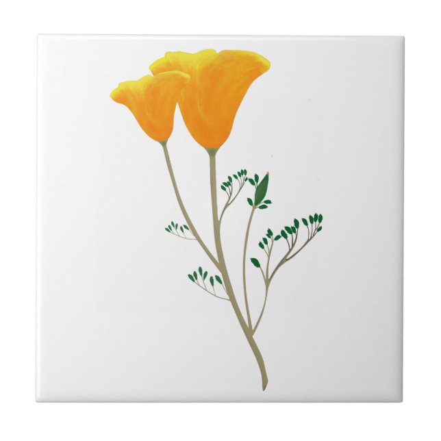 De Cerâmica Azulejo Cerâmico California Poppy (Frente)