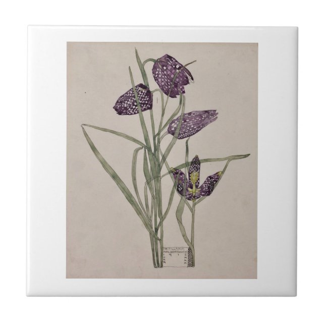 DE CERÂMICA  AZULEJO CERÂMICO : CHARLES RENNIE MACKINTOSH : 191 (Frente)