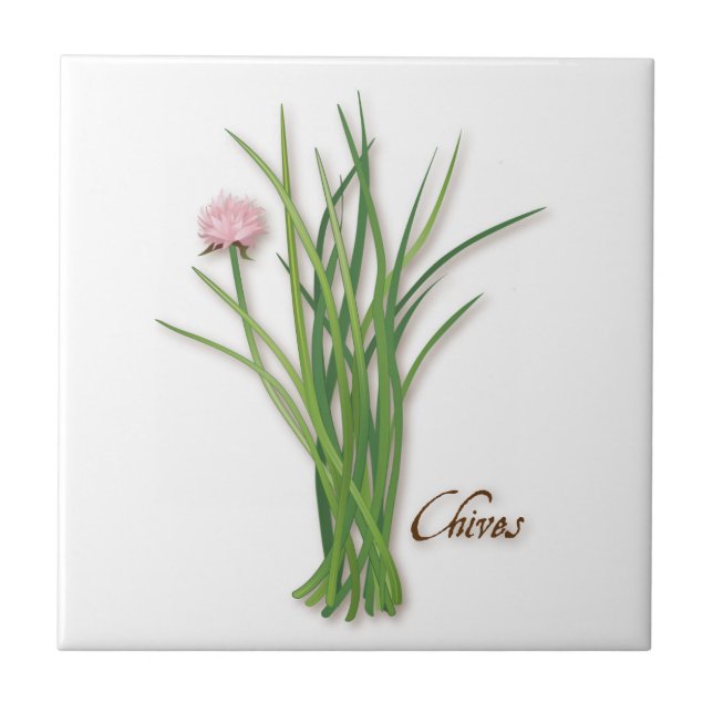 De Cerâmica Azulejo cerâmico Chives Herb (Frente)