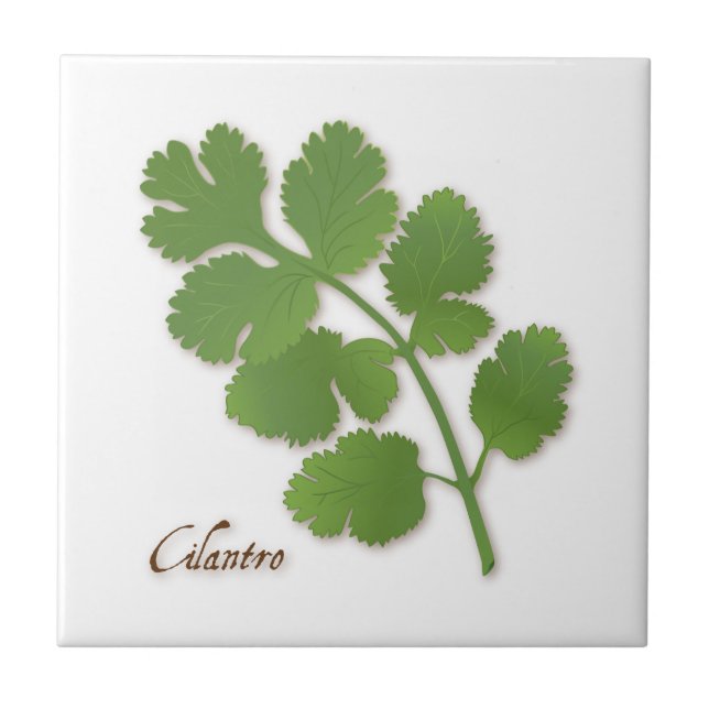 De Cerâmica Azulejo cerâmico Cilantro Herb (Frente)