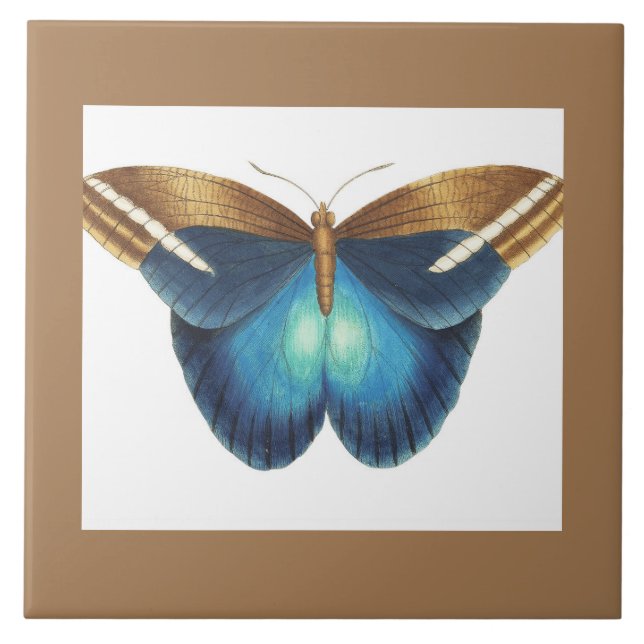 De Cerâmica azulejo cerâmico com borboleta (Frente)