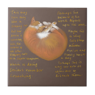 De Cerâmica azulejo cerâmico com gato-dormindo