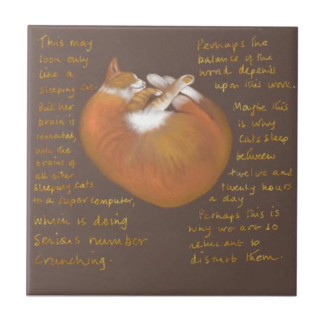 De Cerâmica azulejo cerâmico com gato-dormindo (Frente)