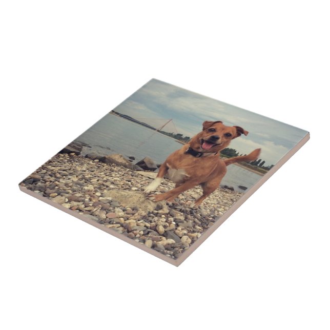 De Cerâmica Azulejo cerâmico com imagens quadradas (Lateral)