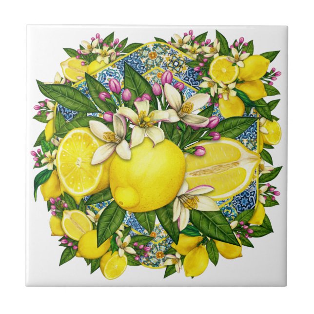 De Cerâmica Azulejo cerâmico Cor 6 Padrão Mediterrânico (Frente)