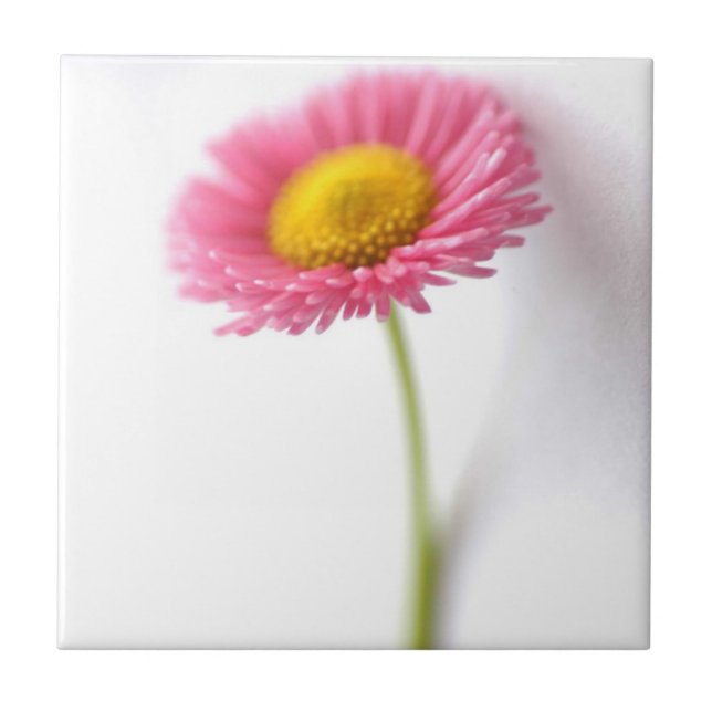 De Cerâmica Azulejo cerâmico cor-de-rosa margarida (Frente)