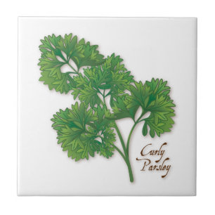 De Cerâmica Azulejo cerâmico Curly Parsley