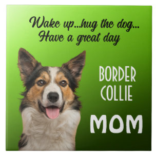 De Cerâmica Azulejo Cerâmico da Border Collie