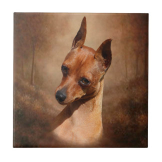 De Cerâmica Azulejo cerâmico da foto do Pinscher diminuto