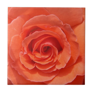De Cerâmica Azulejo cerâmico da foto do rosa do pêssego