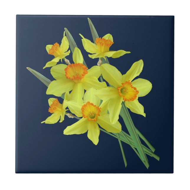 DE CERÂMICA  AZULEJO CERAMICO DAFFODIL (Frente)