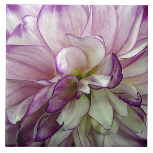 De Cerâmica Azulejo cerâmico Dahlia