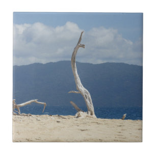 De Cerâmica Azulejo cerâmico das Ilhas Frankland