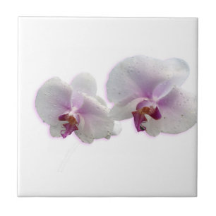 De Cerâmica Azulejo cerâmico das Orchid Flowers