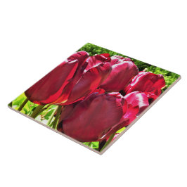 De Cerâmica Azulejo cerâmico das tulipas vermelhas