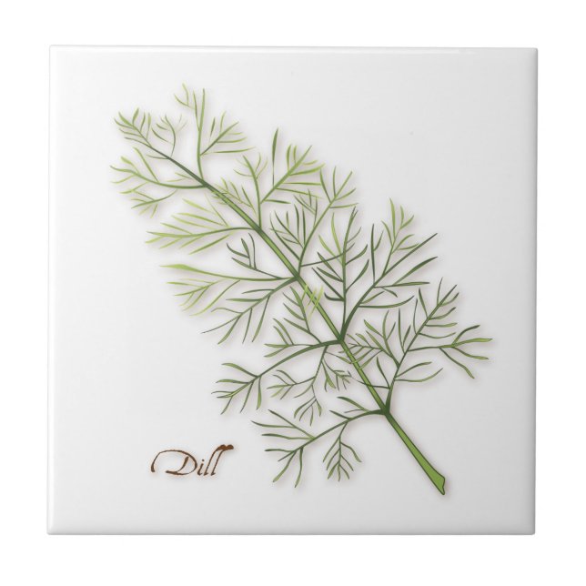 De Cerâmica Azulejo cerâmico Dill Herb (Frente)