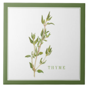 De Cerâmica Azulejo cerâmico FRESCO 6x6 (+texto) Verde
