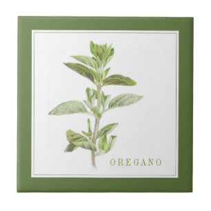 De Cerâmica Azulejo cerâmico FRESCO OREGANO 4.25 (texto) Verde