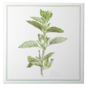 De Cerâmica Azulejo cerâmico FRESCO OREGANO 6x6 (-text)