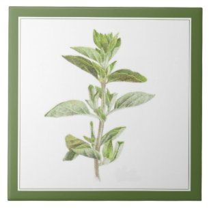 De Cerâmica Azulejo cerâmico FRESCO OREGANO 6x6 (-text) Verde