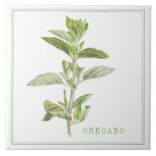 De Cerâmica Azulejo cerâmico FRESCO OREGANO 6x6 (+texto)