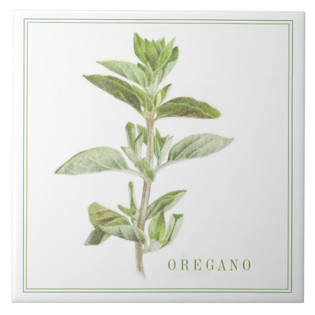 De Cerâmica Azulejo cerâmico FRESCO OREGANO 6x6 (+texto) (Frente)