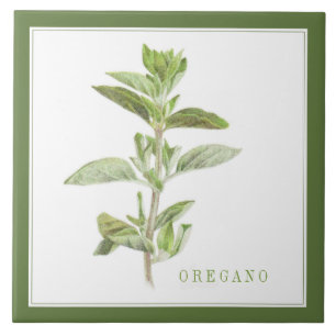 De Cerâmica Azulejo cerâmico FRESCO OREGANO 6x6 (+texto) Verde
