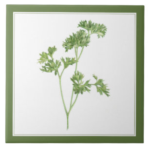 De Cerâmica Azulejo cerâmico FRESH PARSLEY 6x6 (-text) Verde