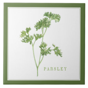 De Cerâmica Azulejo cerâmico FRESH PARSLEY 6x6 (+texto) Verde