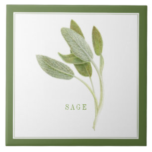 De Cerâmica Azulejo cerâmico FRESH SAGE 6"x6" (+texto) Verde