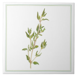 De Cerâmica Azulejo cerâmico FRESH THYME 6x6 (-text)