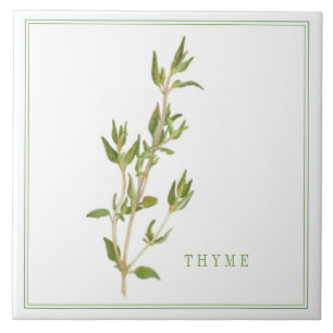 De Cerâmica Azulejo cerâmico FRESH THYME 6x6 (+texto)