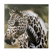 Azulejo cerâmico Funny Leopard Appaloosa
