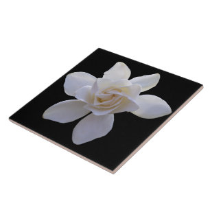 De Cerâmica Azulejo cerâmico - Gardenia a preto
