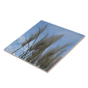 De Cerâmica Azulejo cerâmico - Grama Pampas