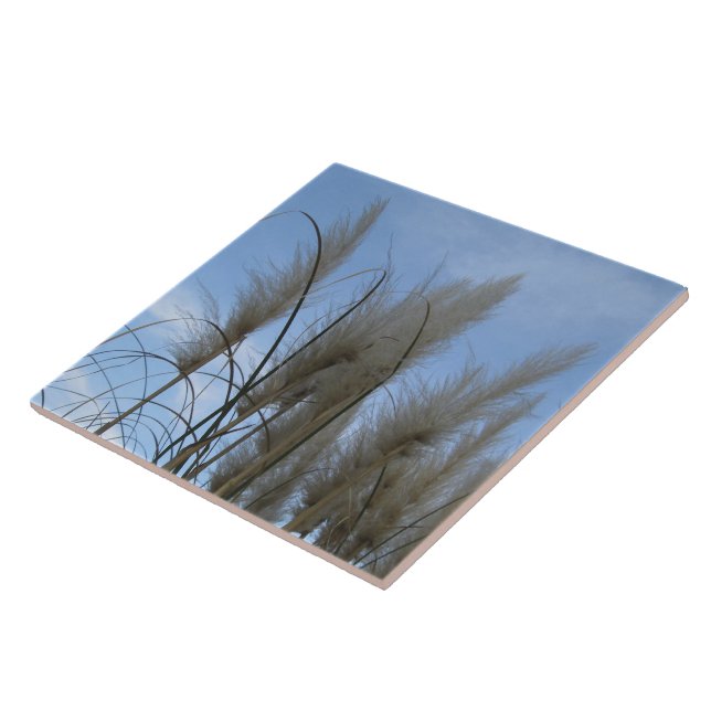 De Cerâmica Azulejo cerâmico - Grama Pampas (Lateral)