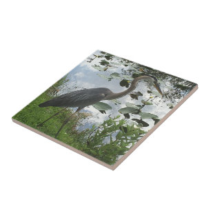 De Cerâmica Azulejo Cerâmico Heron Azul excelente