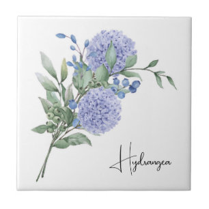 De Cerâmica Azulejo cerâmico/Hidrínea Trivet-Floral