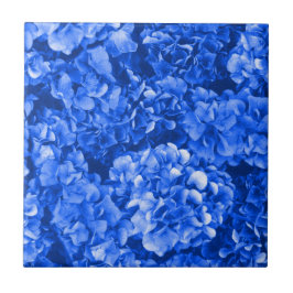 De Cerâmica Azulejo cerâmico Hydrangea azul